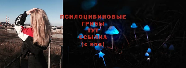 мяу мяу мука Баксан