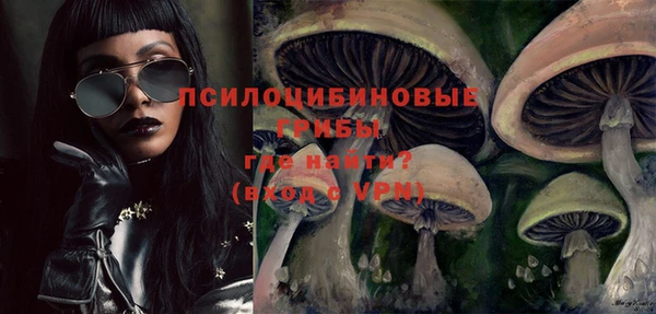 мяу мяу мука Баксан